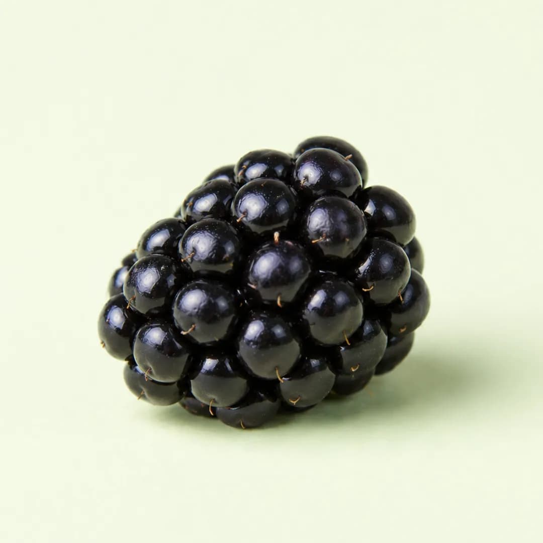 Blackberry for babies