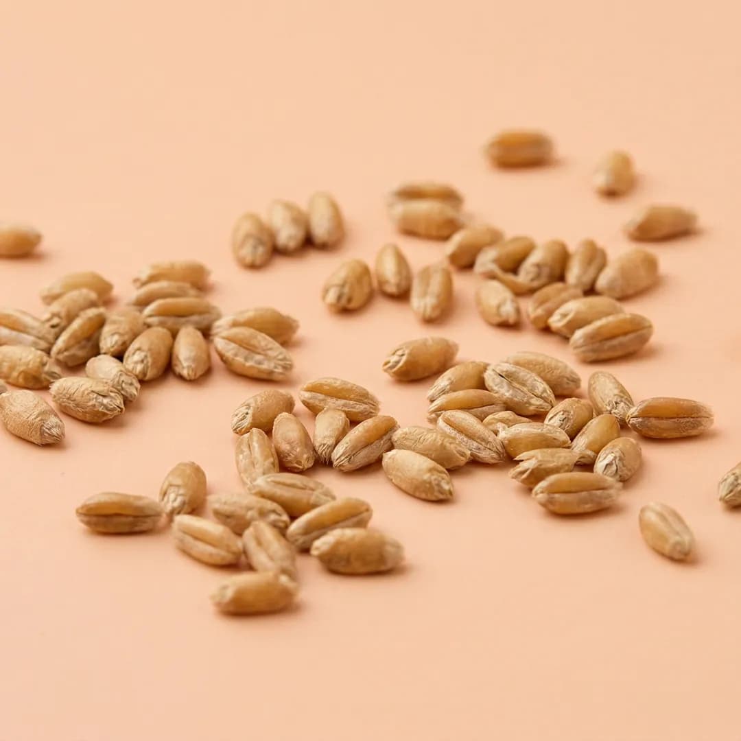 Wheat for babies